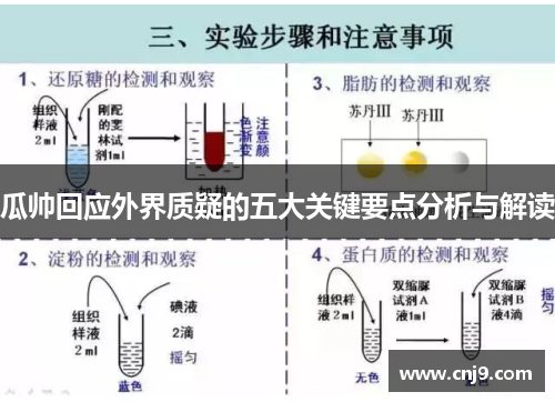 瓜帅回应外界质疑的五大关键要点分析与解读