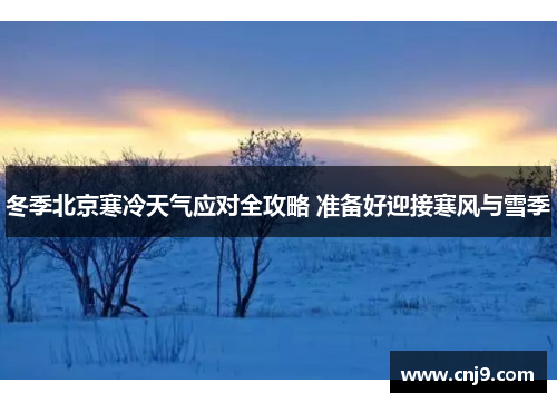 冬季北京寒冷天气应对全攻略 准备好迎接寒风与雪季